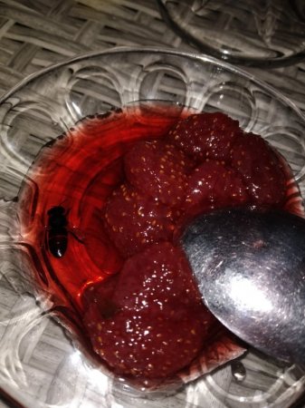 Bakıda məşhur kafedə biabırçılıq - FOTOLAR